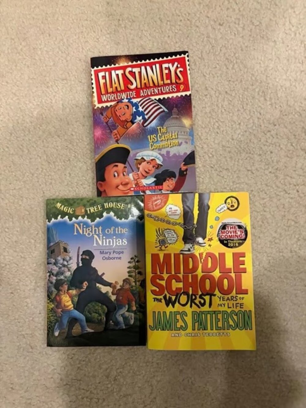 Kids Book Bundle Magic Tree House Night of the Ninjas Flat Stanley Middle School